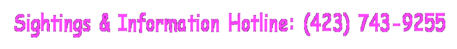 US UFO Center Sightings Hotline 423 743 9255